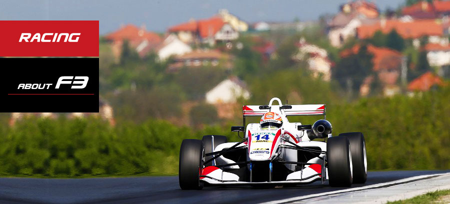 F3 RESULT/REPORT