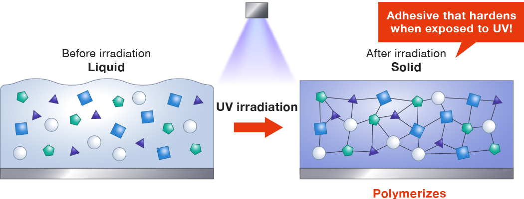 UV-curing resin  ThreeBond Group